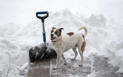 5 Tips for Winter Safety