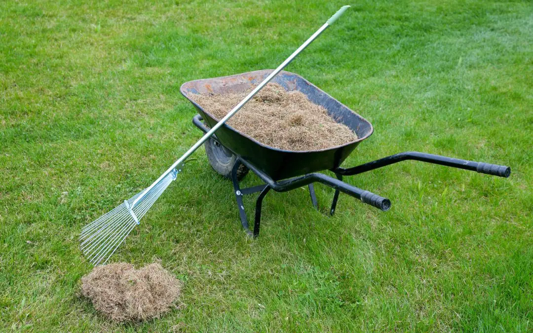 outdoor spring cleaning