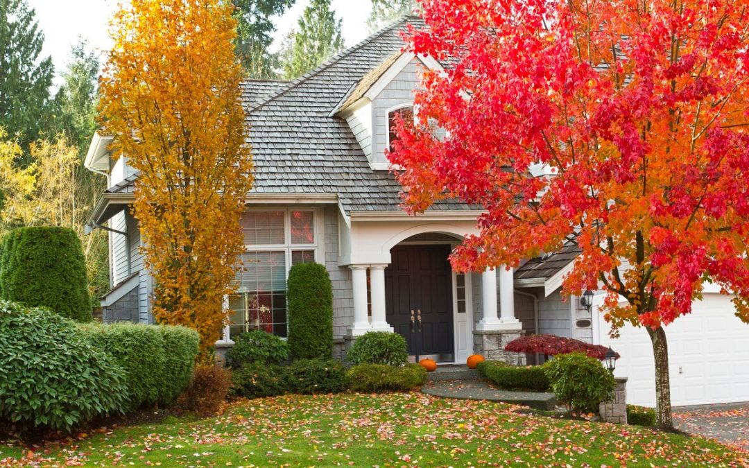6 Tips for  Fall Curb Appeal