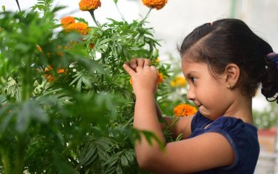 Cultivating Green Thumbs: 7 Tips for Gardening with Children